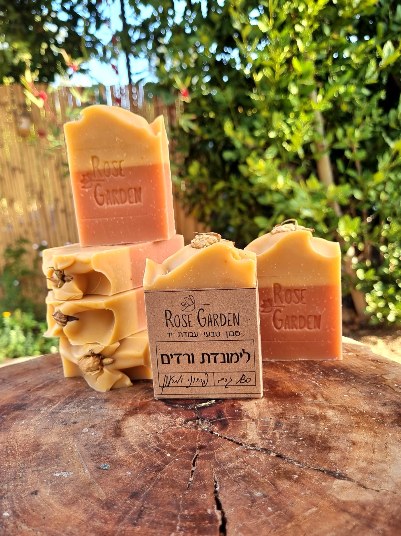 44eb1123-8deb-4116-b30a-9aaf320f2e7e